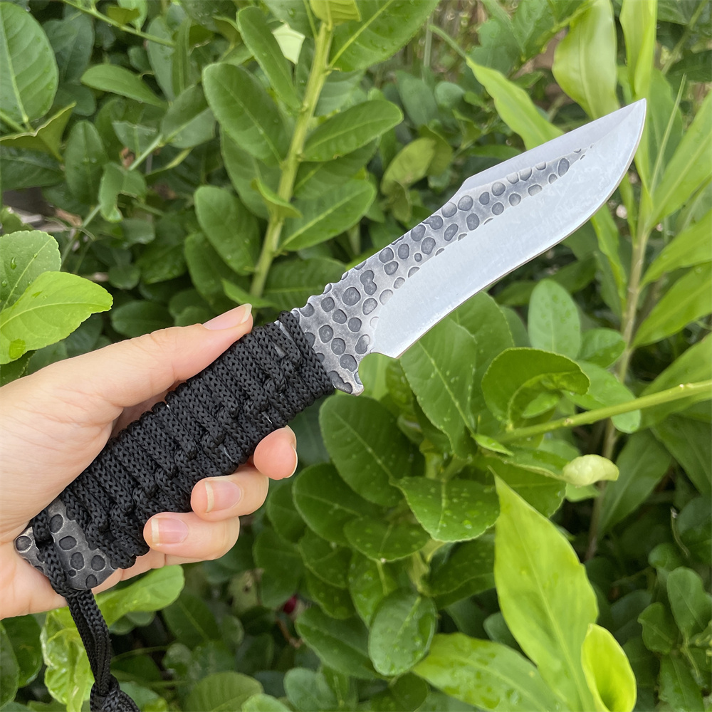 Geschmiedetes 8cr13mov-Klingen – Edc Carry Fixed Blade Knife Bewertung und Preis